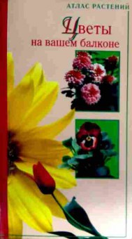 Книга Хайрова Л.Н. Цветы на вашем балконе, 11-12862, Баград.рф